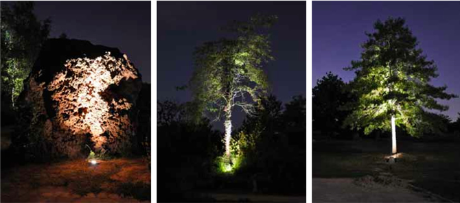 Lichtkonzept im Park der Sinne